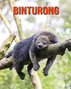 Binturong: Learn About Binturong and Enjoy Colorful Pictures by Diane Jackson