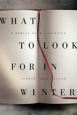What to Look for in Winter: A Memoir in Blindness by Candia McWilliam