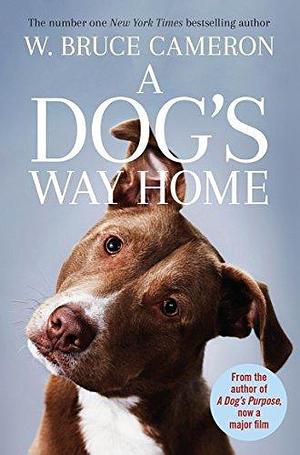 A Dog's Way Home: The Heartwarming Story of the Special Bond Between Man and Dog by W. Bruce Cameron, W. Bruce Cameron