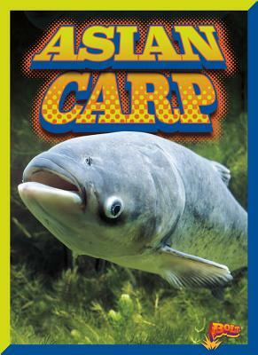 Asian Carp by Barbara Ciletti