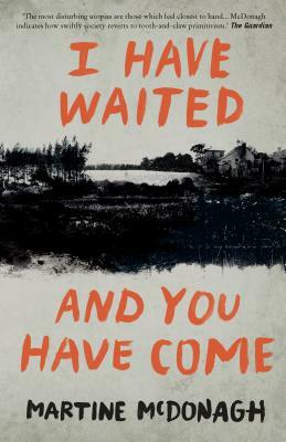 I Have Waited, and You Have Come by Martine McDonagh