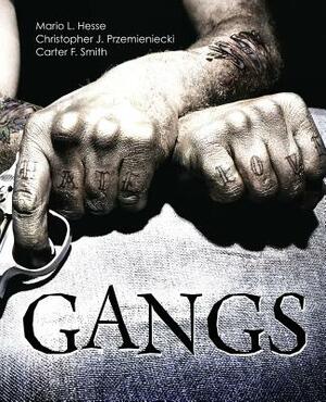 Gangs by Hesse Et Al