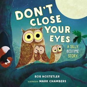 Don't Close Your Eyes: A Silly Bedtime Story by Bob Hostetler