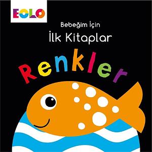 Renkler - Bebegim Icin Ilk Kitaplar by Kolektif