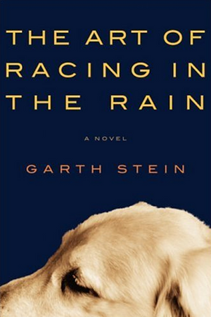 The Art of Racing in the Rain by Garth Stein