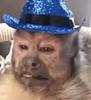 adalidc's profile picture