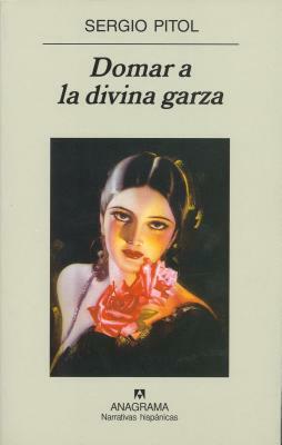 Domar a la Divina Garza by Sergio Pitol