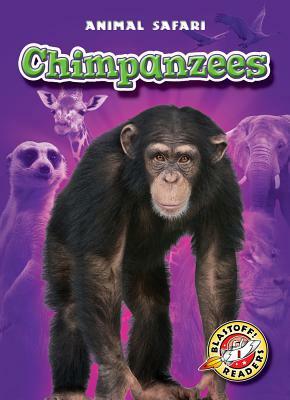 Chimpanzees by Derek Zobel