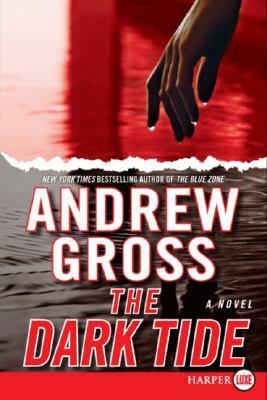 The Dark Tide by Andrew Gross