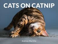 Cats on Catnip by Andrew Marttila