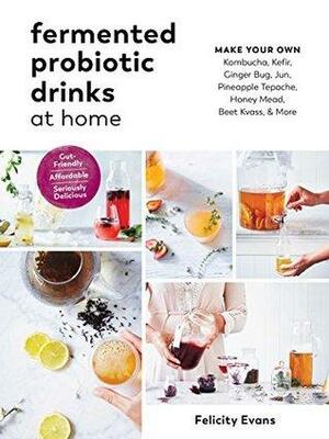 Fermented Probiotic Drinks at Home: Make Your Own Kombucha, Kefir, Ginger Bug, Jun, Pineapple Tepache, Honey Mead, Beet Kvass, and More by Felicity Evans