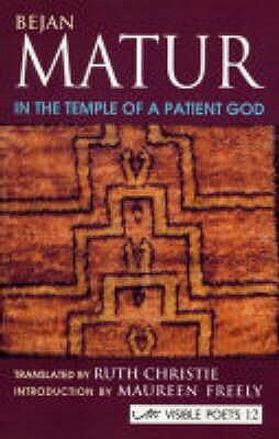 In the Temple of a Patient God by Bejan Matur