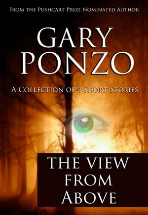 The View from Above by Gary Ponzo