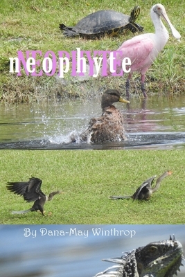 Neophyte by Dana-May Winthrop