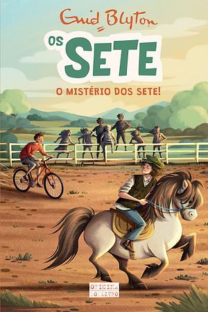 O Mistério dos Sete by Enid Blyton