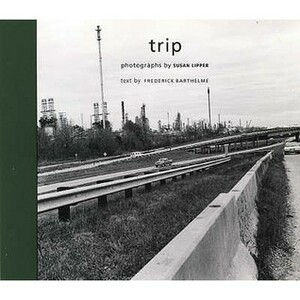 Trip by Matthew Drutt, Frederick Barthelme, Susan Lipper