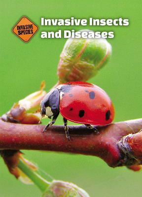 Invasive Insects and Diseases by Kaitlyn Duling