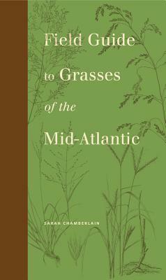 Field Guide to Grasses of the Mid-Atlantic by Sarah Chamberlain