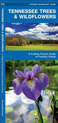 Tennessee Trees & Wildflowers: A Folding Pocket Guide to Familiar Species by James Kavanagh, Waterford Press