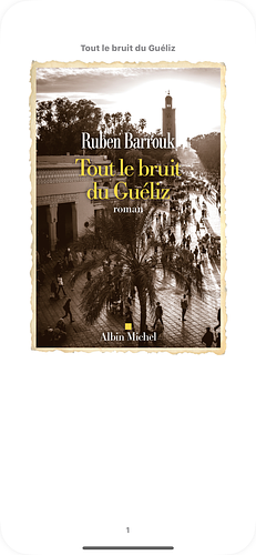 Tout le bruit du Guéliz by Ruben Barrouk