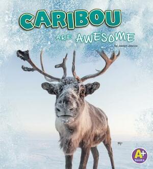 Caribou Are Awesome by Jaclyn Jaycox