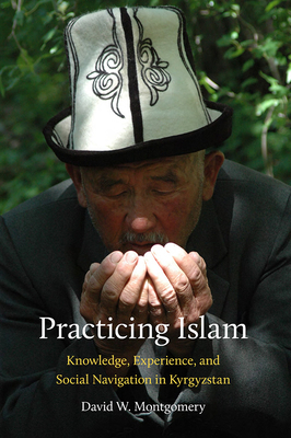 Practicing Islam: Knowledge, Experience, and Social Navigation in Kyrgyzstan by David W. Montgomery