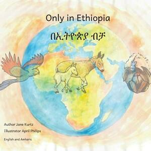 Only in Ethiopia in English and Amharic by Caroline Kurtz, Ready Set Go Books