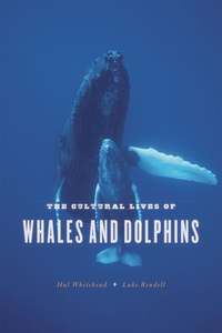 The Cultural Lives of Whales and Dolphins by Hal Whitehead, Luke Rendell