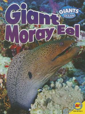 Giant Moray Eel by Anita Yasuda