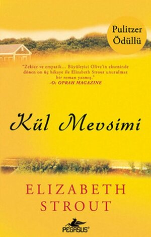 Kül Mevsimi by Elizabeth Strout