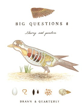 Big Questions #8: Theory and Practice by Anders Nilsen