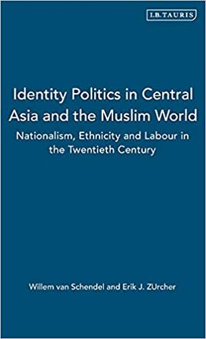 Identity Politics in Central Asia and the Muslim World by Erik-Jan Zürcher, Willem Van Schendel