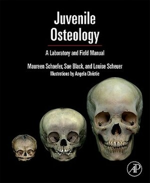 Juvenile Osteology: A Laboratory and Field Manual  by Sue Black, Louise Scheuer, Maureen C. Schaefer