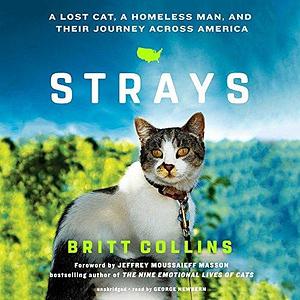 Strays: A Lost Cat, a Homeless Man, and Their Journey across America by Britt Collins, Britt Collins