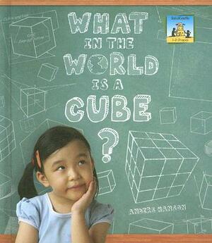 What in the World Is a Cube? by Anders Hanson