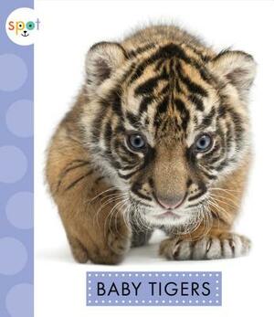 Baby Tigers by K. C. Kelley