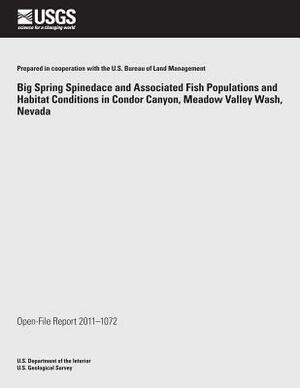 Big Spring Spinedace and Associated Fish Populations and Habitat Conditions in Condor Canyon, Meadow Valley Wash, Nevada by U. S. Department of the Interior