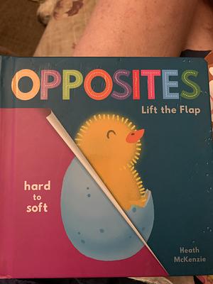 Opposites: Lift the Flap by Heath McKenzie