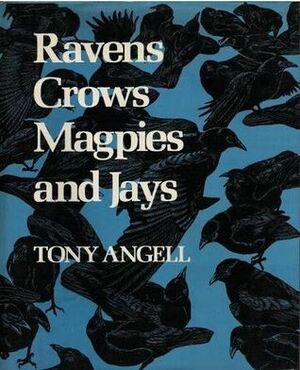Ravens, Crows, Magpies, and Jays by Tony Angell, J.F. Lansdowne