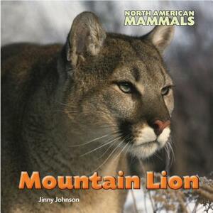 Mountain Lion by Jinny Johnson