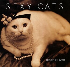 Sexy Cats by J.C. Suares