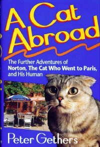 A Cat Abroad by Peter Gethers