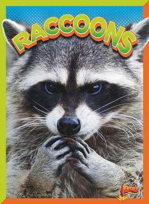 Raccoons by Gail Terp