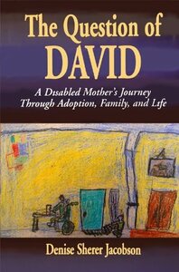 The Question of David by Denise Sherer Jacobson