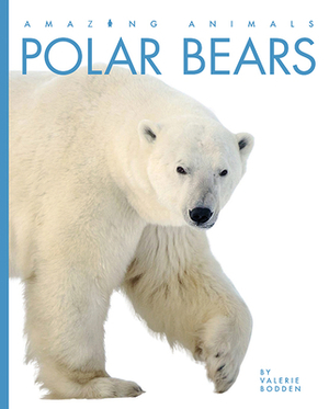 Polar Bears by Valerie Bodden