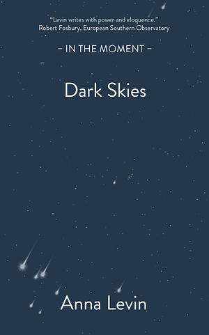 Dark Skies by Anna Levin