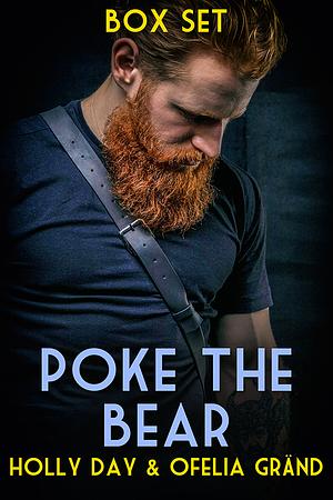 Poke the Bear Box Set by Holly Day