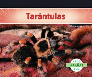 Tarántulas (Tarantula Spiders) (Spanish Version) by Claire Archer