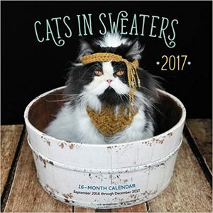 Cats in Sweaters 2017: 16-Month Calendar September 2016 through December 2017 by Editors of Rock Point