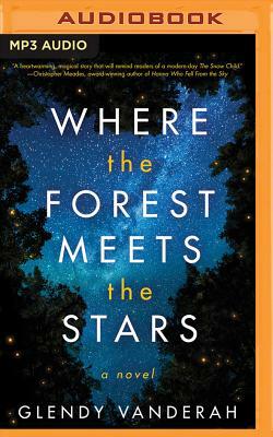 Where the Forest Meets the Stars by Glendy Vanderah